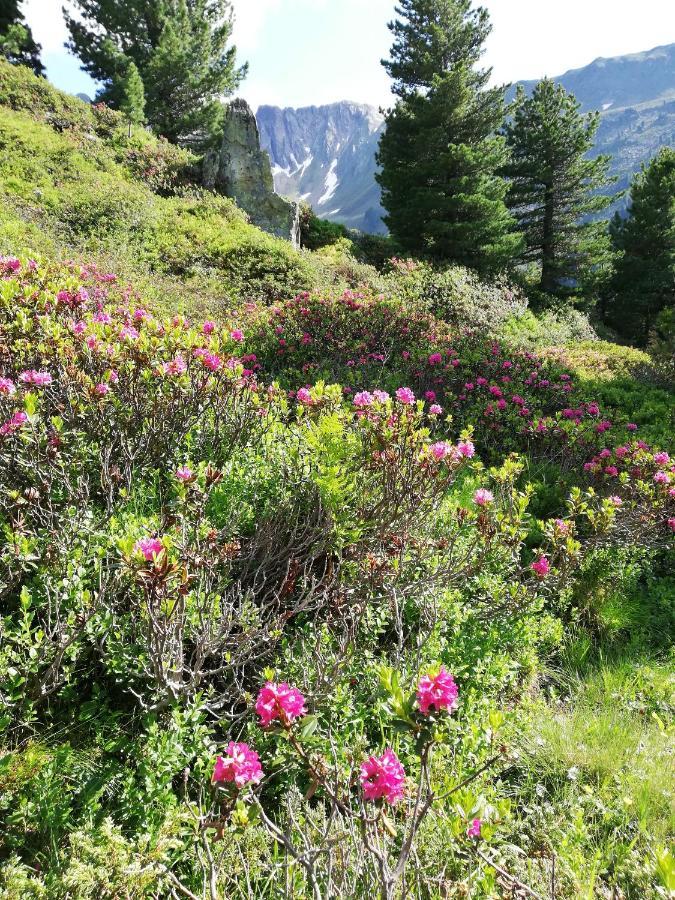 Apart Waldesruh Arzl im Pitztal Eksteriør bilde