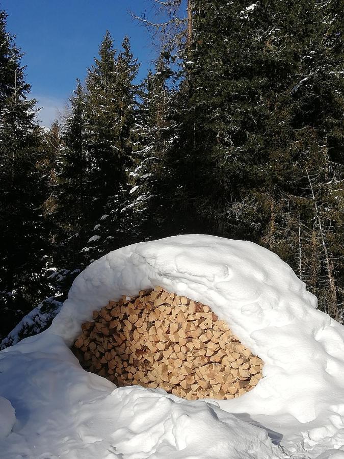 Apart Waldesruh Arzl im Pitztal Eksteriør bilde