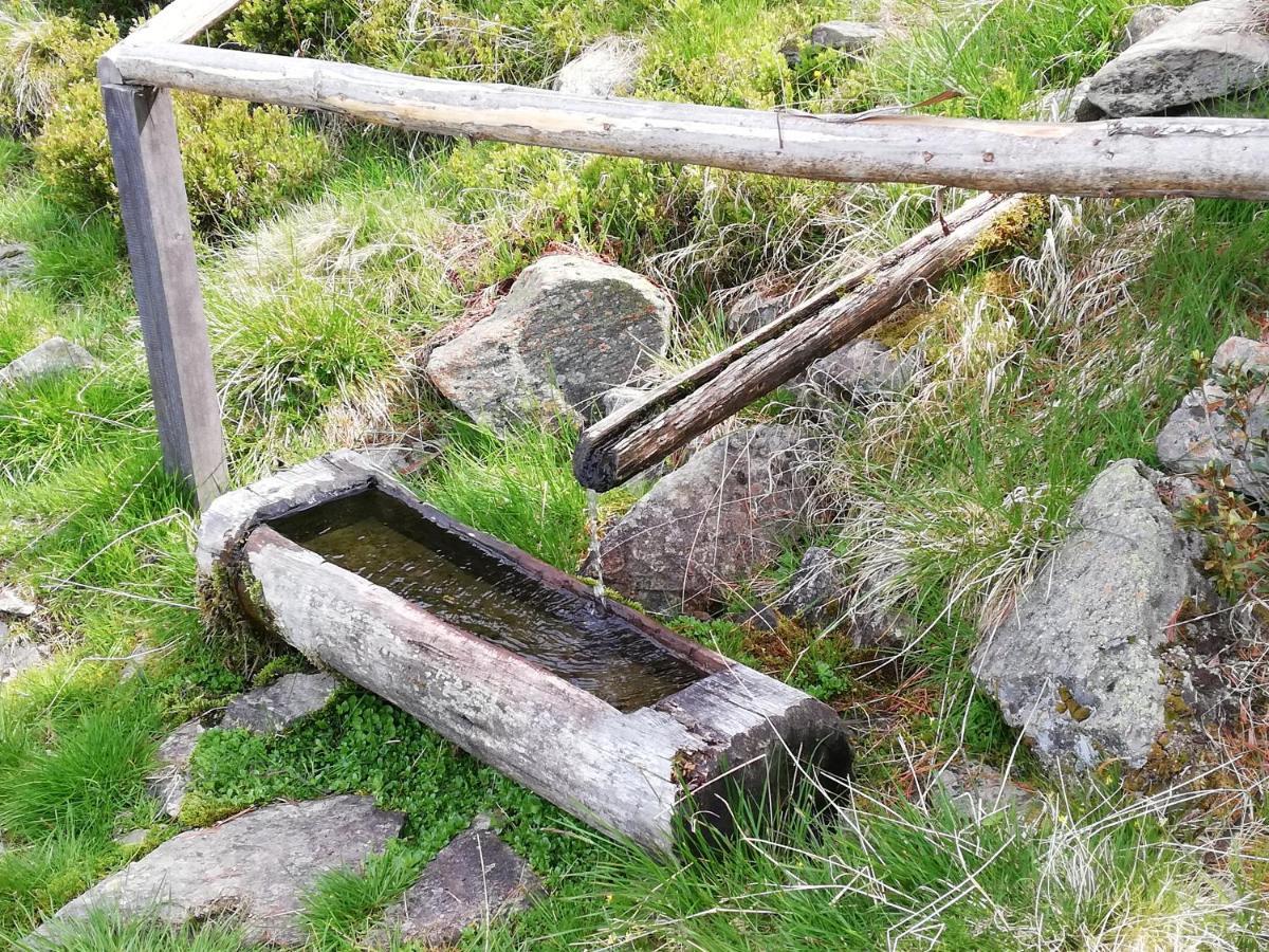 Apart Waldesruh Arzl im Pitztal Eksteriør bilde