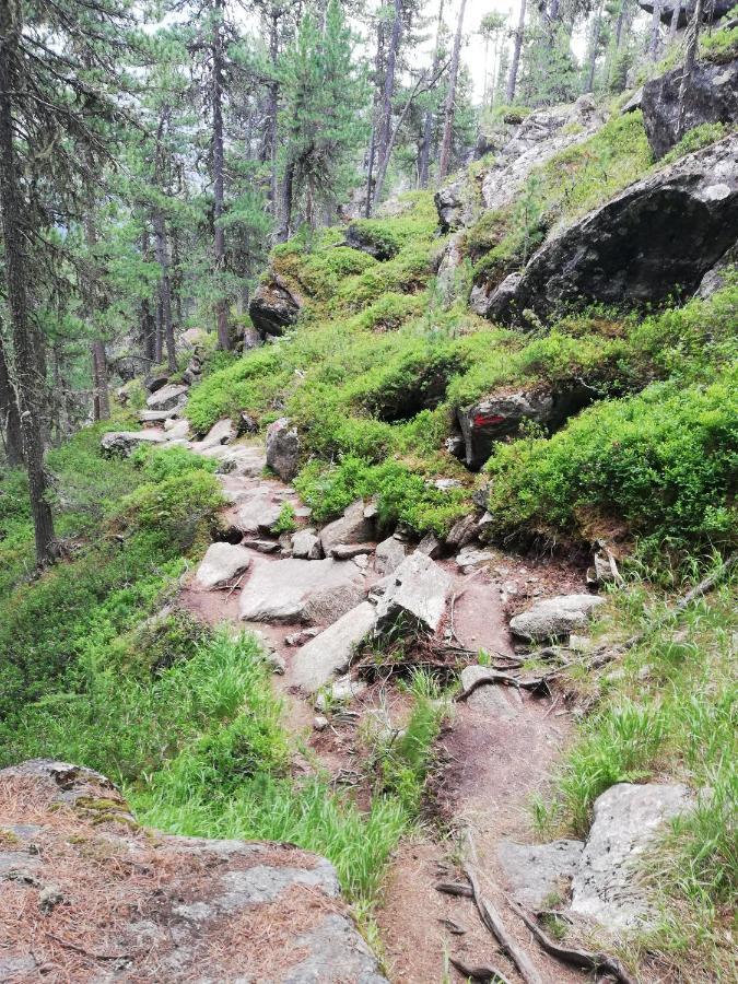 Apart Waldesruh Arzl im Pitztal Eksteriør bilde