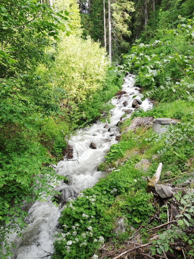 Apart Waldesruh Arzl im Pitztal Eksteriør bilde
